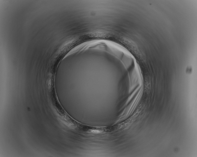 X0000097850167200803281257