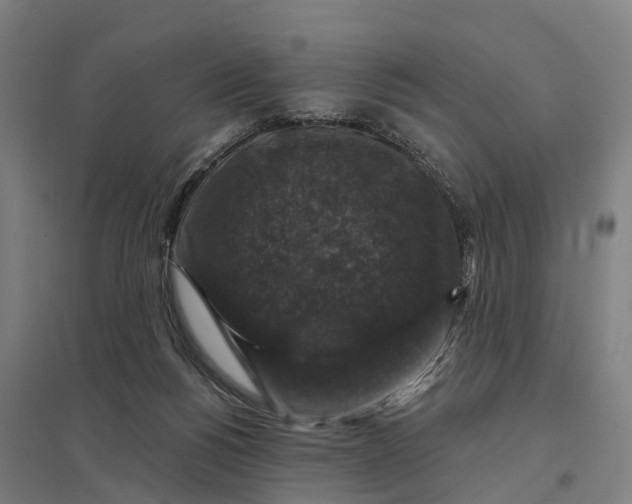 X0000097850168200803281257