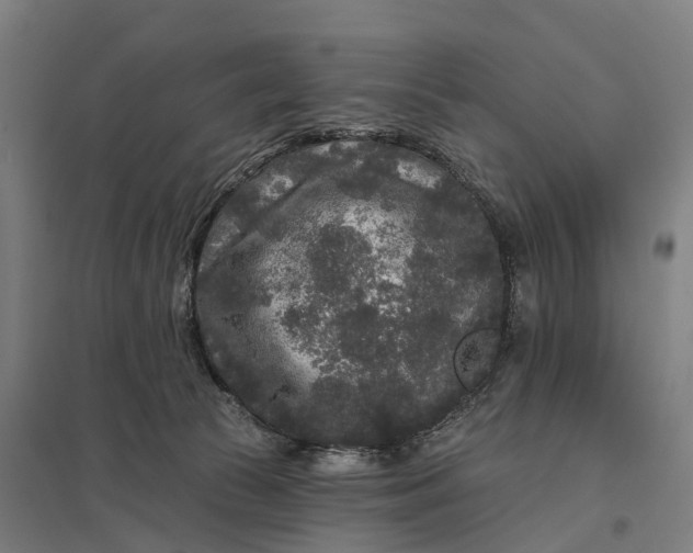 X0000097850177200803281257