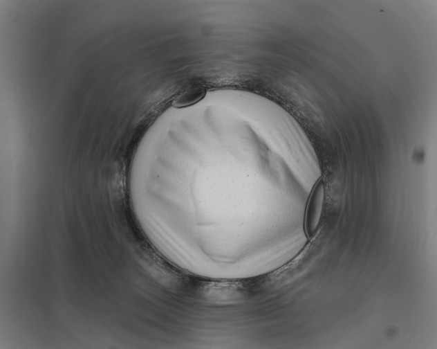 X0000097850179200803281257