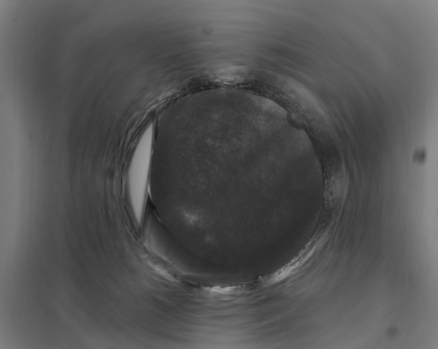 X0000097850180200803281257