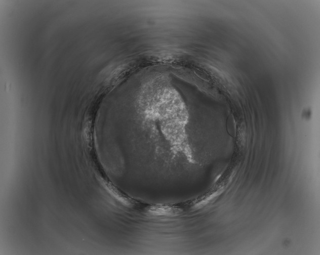 X0000097850181200803281257