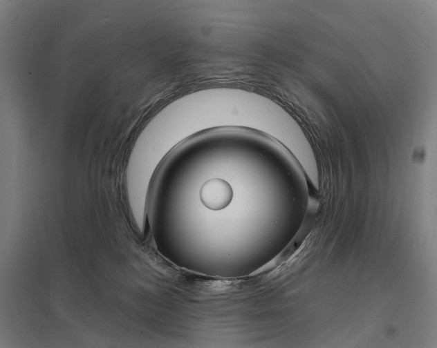 X0000097850184200803281257