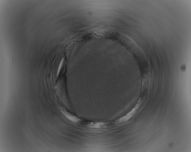 X0000097850186200803281257