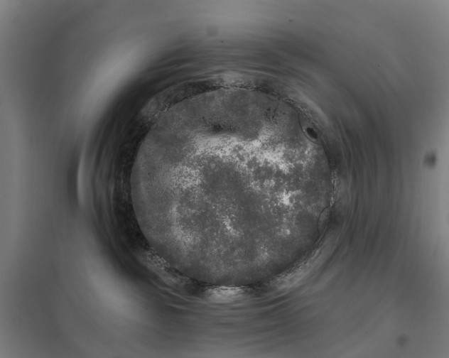 X0000097850189200803281257