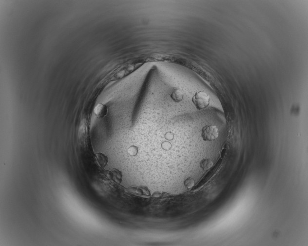 X0000097850191200803281257