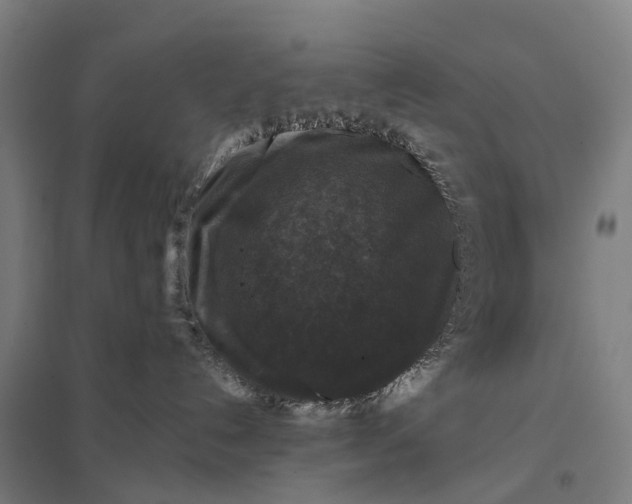 X0000097850192200803281257