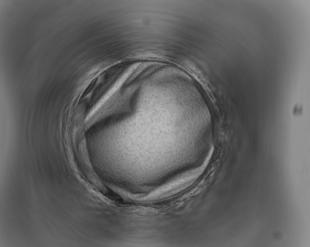 X0000097850193200803281257