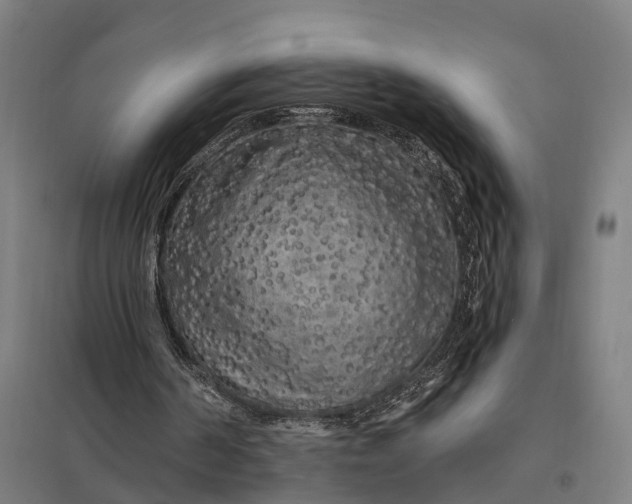 X0000097850194200803281257