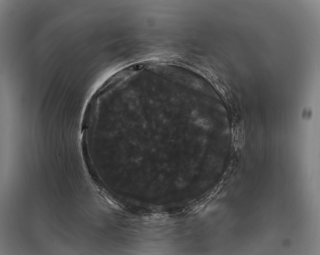 X0000097850196200803281257