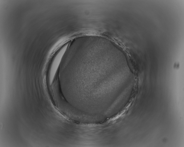 X0000097850197200803281257