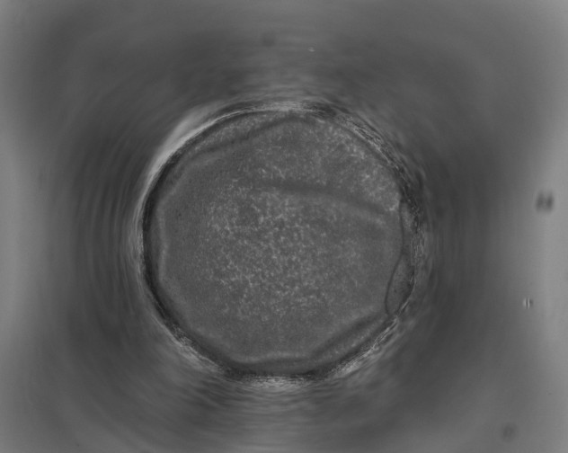 X0000097850198200803281257