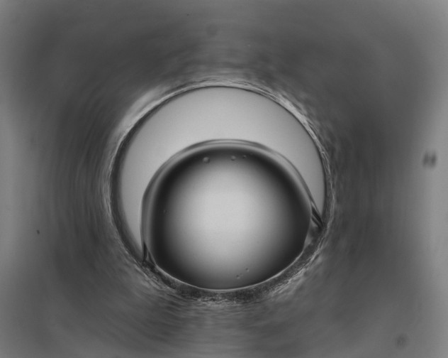 X0000097850199200803281257