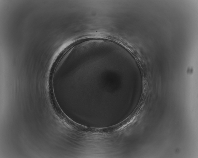 X0000097850200200803281257