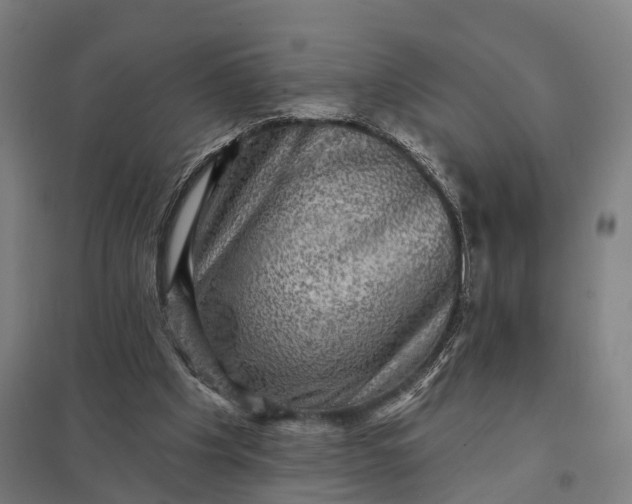 X0000097850201200803281257