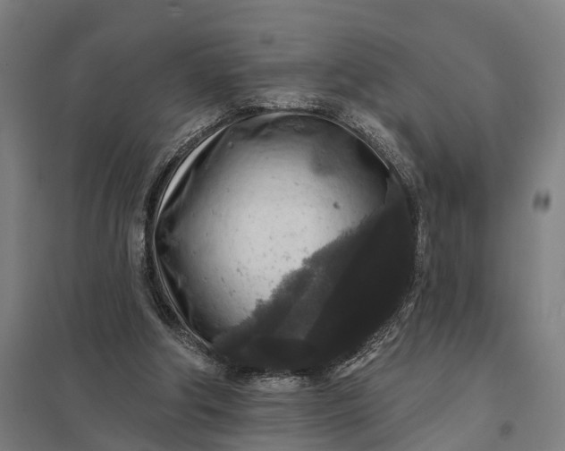 X0000097850202200803281257