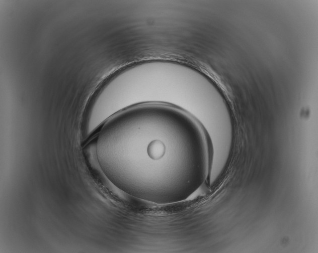 X0000097850203200803281257