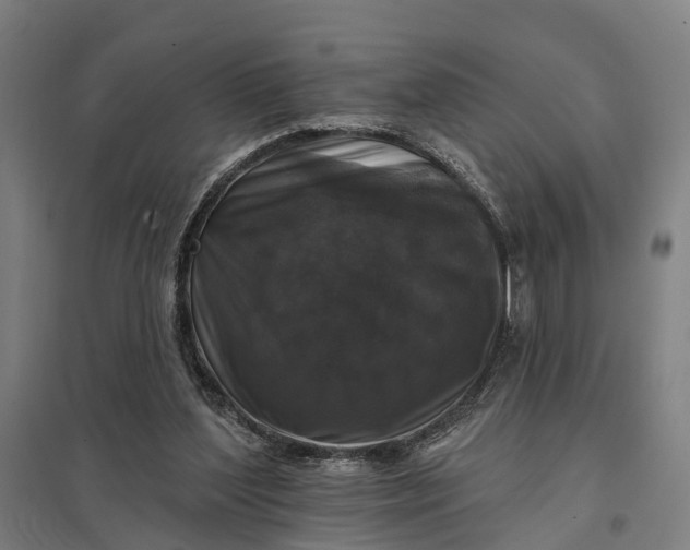 X0000097850204200803281257