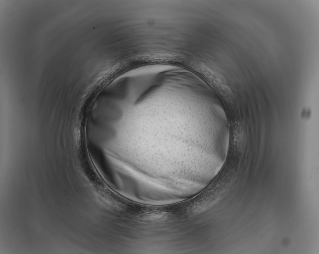 X0000097850206200803281257