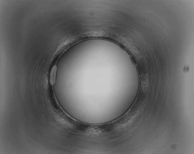 X0000097850207200803281257