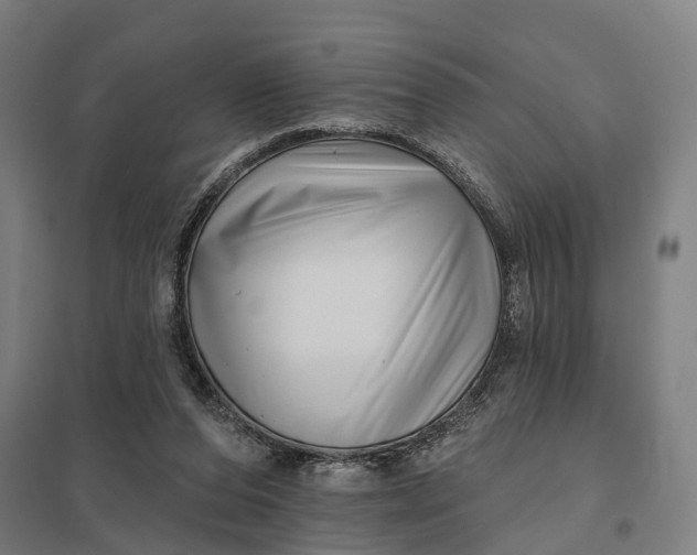 X0000097850208200803281257