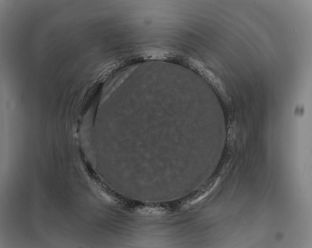 X0000097850209200803281257