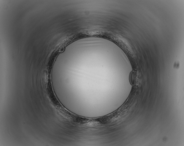 X0000097850210200803281257