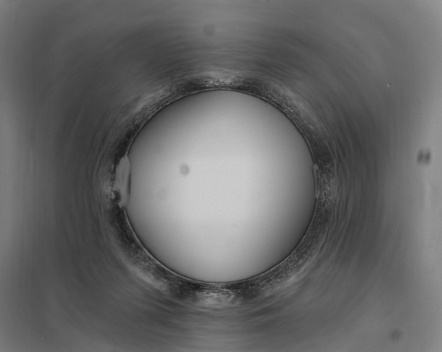 X0000097850215200803281256