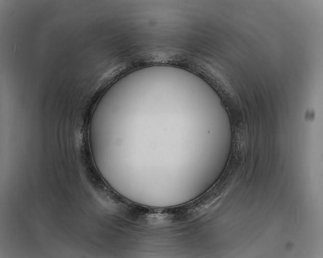 X0000097850216200803281256