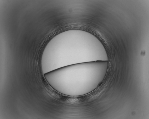 X0000097850217200803281256