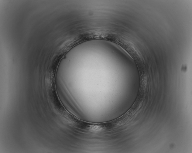 X0000097850218200803281256