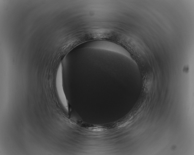 X0000097850219200803281256