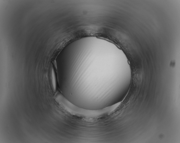 X0000097850221200803281256