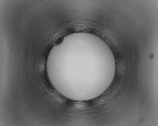 X0000097850226200803281256