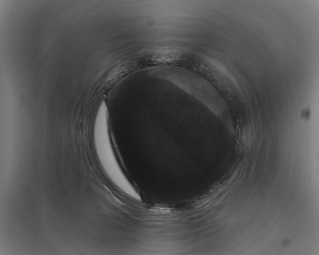 X0000097850227200803281256