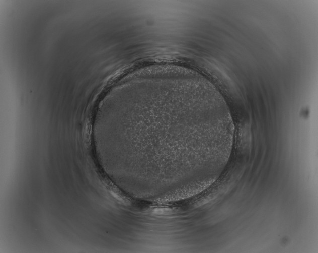 X0000097850228200803281256