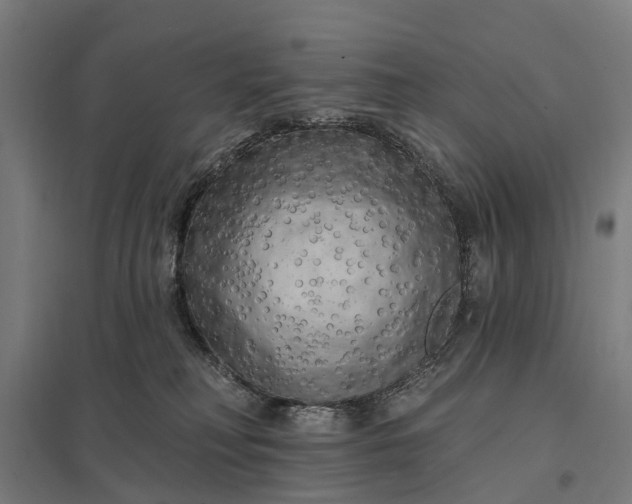 X0000097850230200803281256