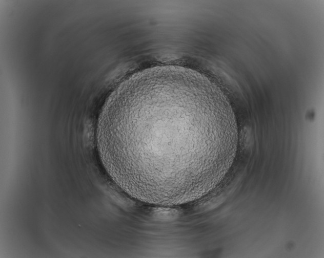 X0000097850234200803281256