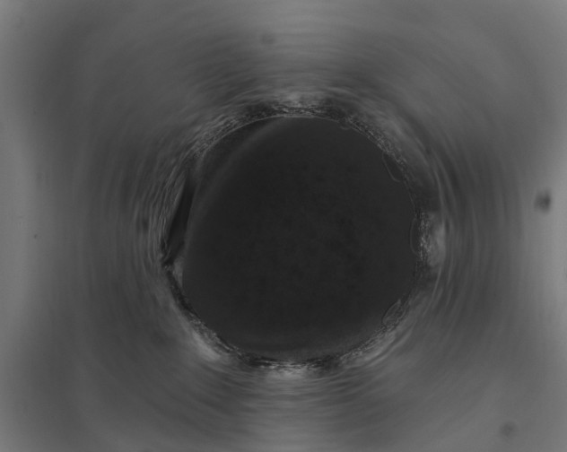 X0000097850235200803281256