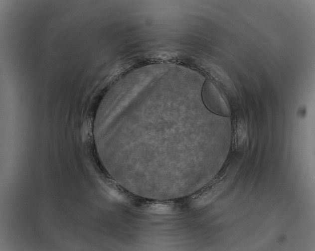 X0000097850236200803281256