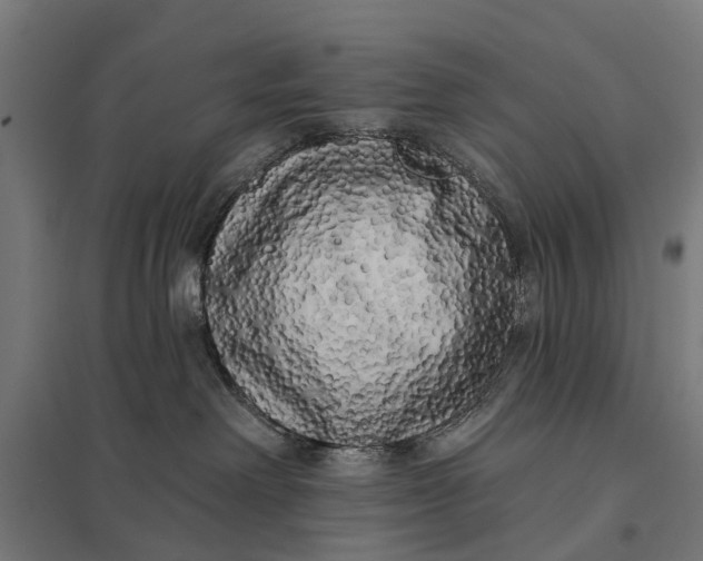 X0000097850238200803281256