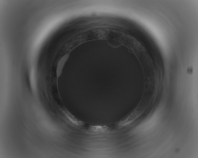 X0000097850239200803281256