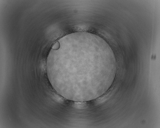 X0000097850240200803281256