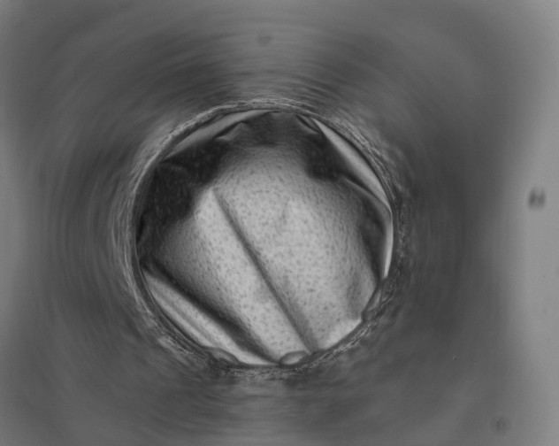 X0000097850241200803281255