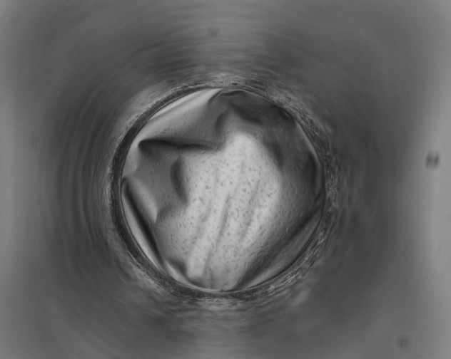 X0000097850242200803281255