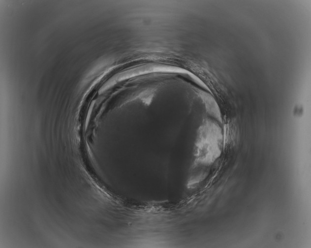 X0000097850243200803281255