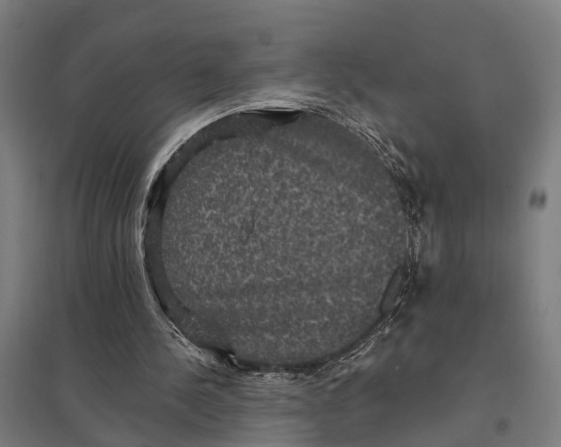 X0000097850244200803281255