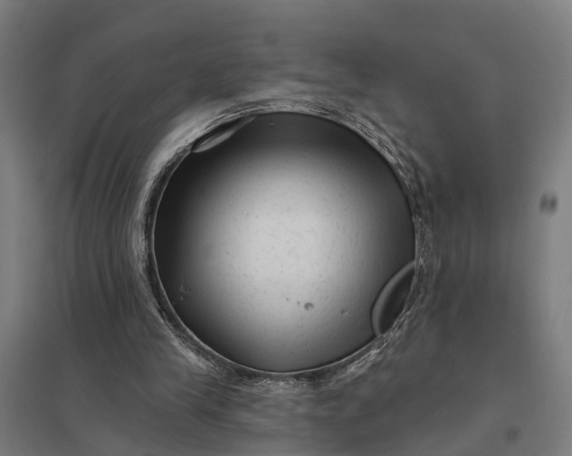 X0000097850245200803281255