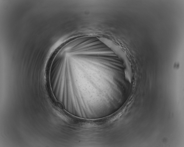 X0000097850246200803281255