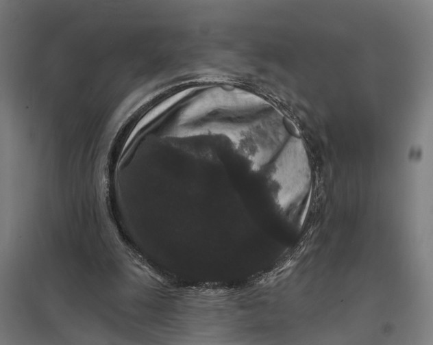 X0000097850247200803281255